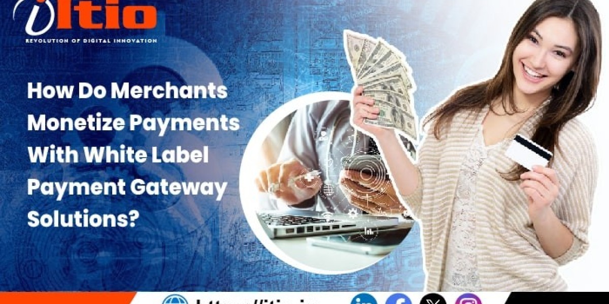 How Do Merchants Monetize Payments With White Label Payment Gateway Solutions?