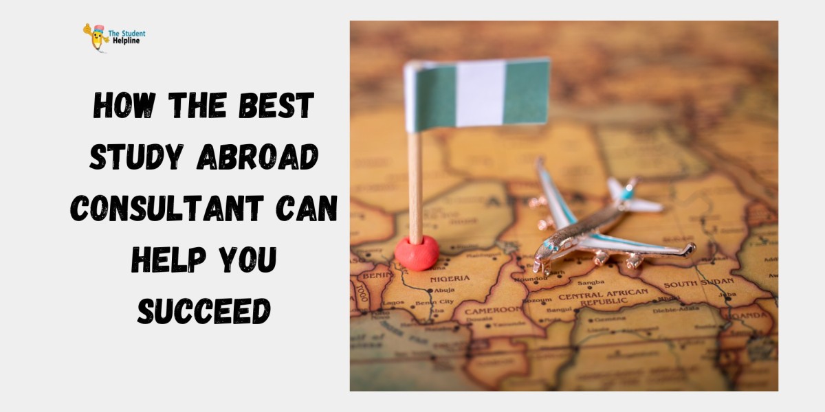 How the Best Study Abroad Consultant Can Help You Succeed